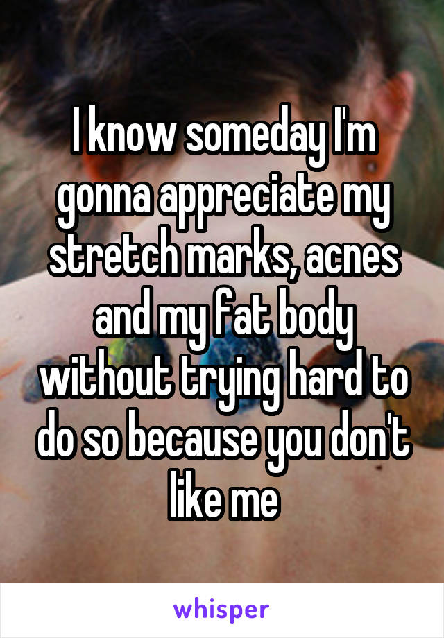 I know someday I'm gonna appreciate my stretch marks, acnes and my fat body without trying hard to do so because you don't like me