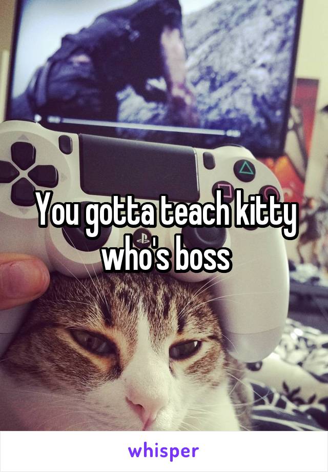 You gotta teach kitty who's boss