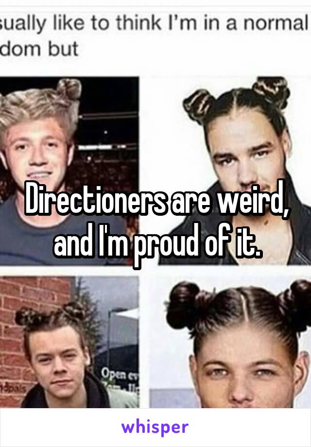 Directioners are weird, and I'm proud of it.