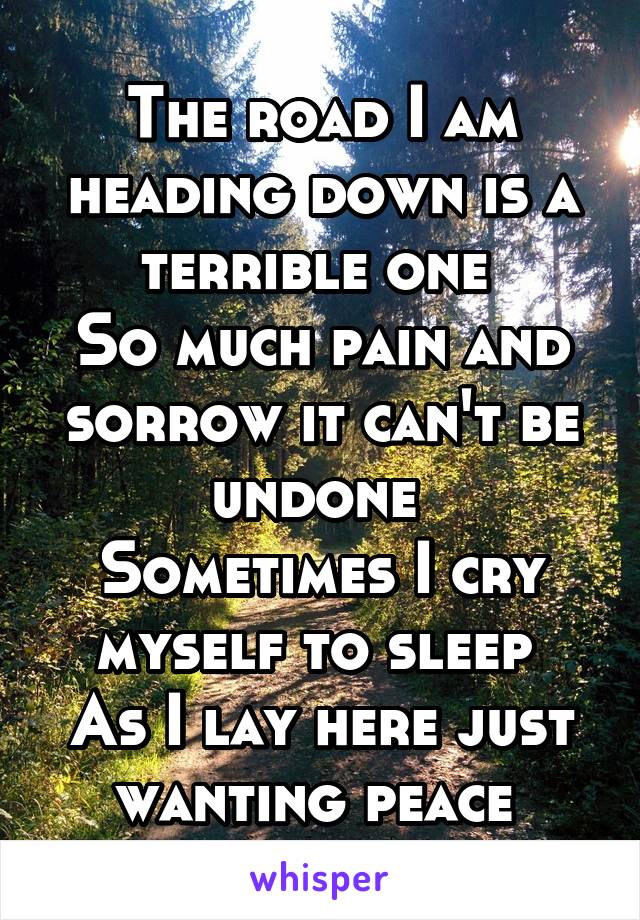 The road I am heading down is a terrible one 
So much pain and sorrow it can't be undone 
Sometimes I cry myself to sleep 
As I lay here just wanting peace 