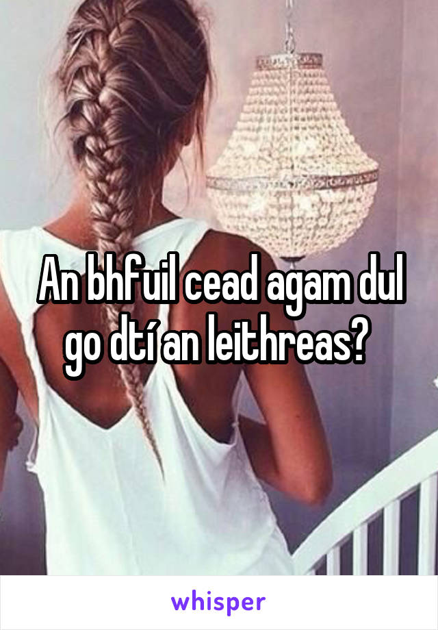 An bhfuil cead agam dul go dtí an leithreas? 