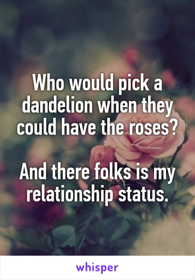 Who would pick a dandelion when they could have the roses?

And there folks is my relationship status.