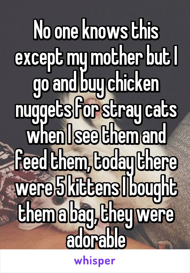 No one knows this except my mother but I go and buy chicken nuggets for stray cats when I see them and feed them, today there were 5 kittens I bought them a bag, they were adorable