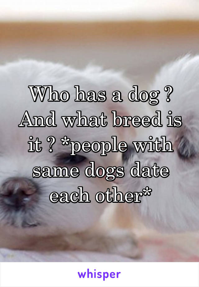 Who has a dog ? And what breed is it ? *people with same dogs date each other*