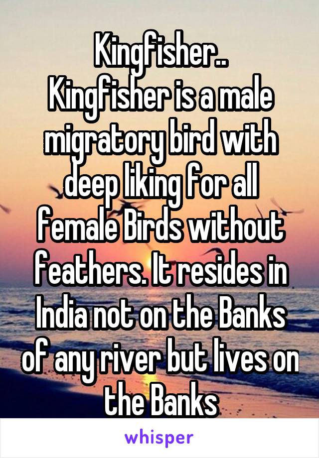 Kingfisher..
Kingfisher is a male migratory bird with deep liking for all female Birds without feathers. It resides in India not on the Banks of any river but lives on the Banks