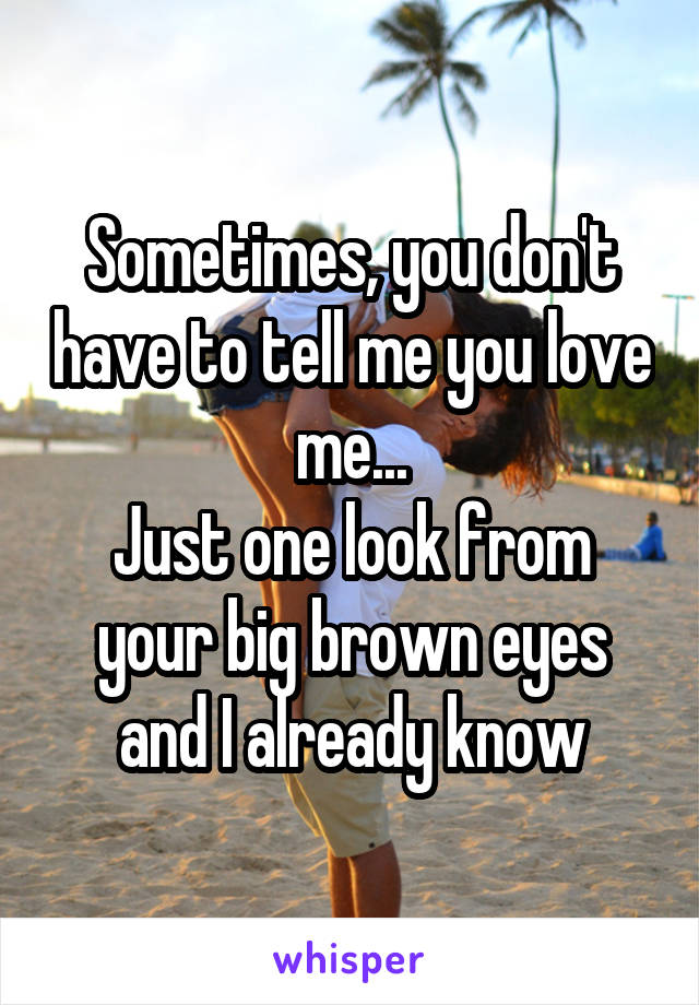 Sometimes, you don't have to tell me you love me...
Just one look from your big brown eyes and I already know