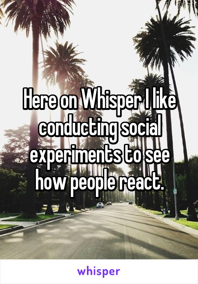 Here on Whisper I like conducting social experiments to see how people react.
