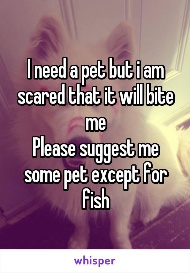 I need a pet but i am scared that it will bite me
Please suggest me some pet except for fish