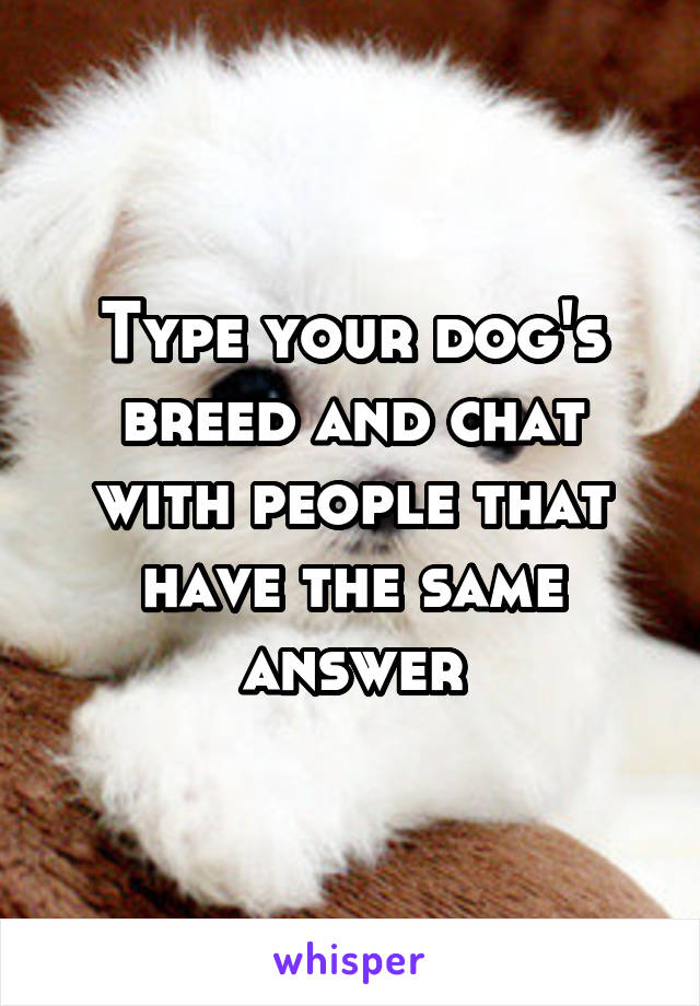 Type your dog's breed and chat with people that have the same answer