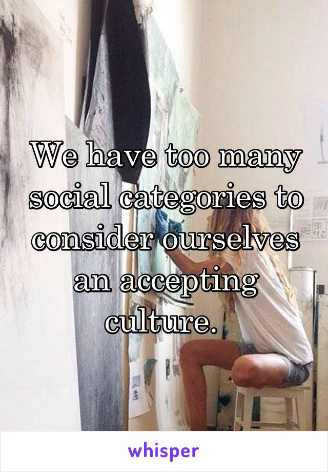 We have too many social categories to consider ourselves an accepting culture. 