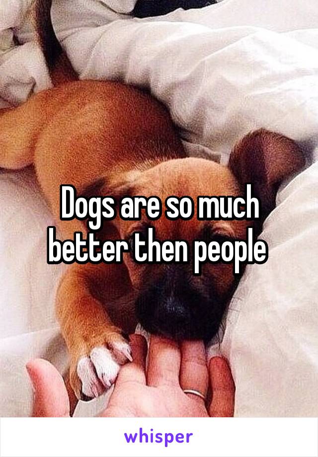 Dogs are so much better then people 
