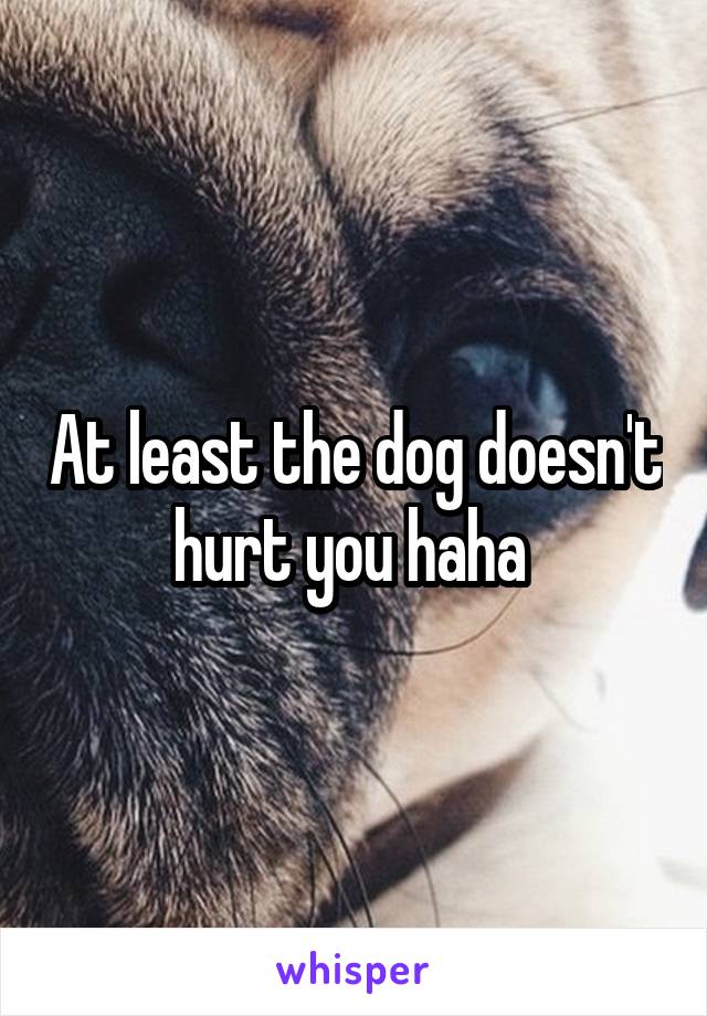 At least the dog doesn't hurt you haha 