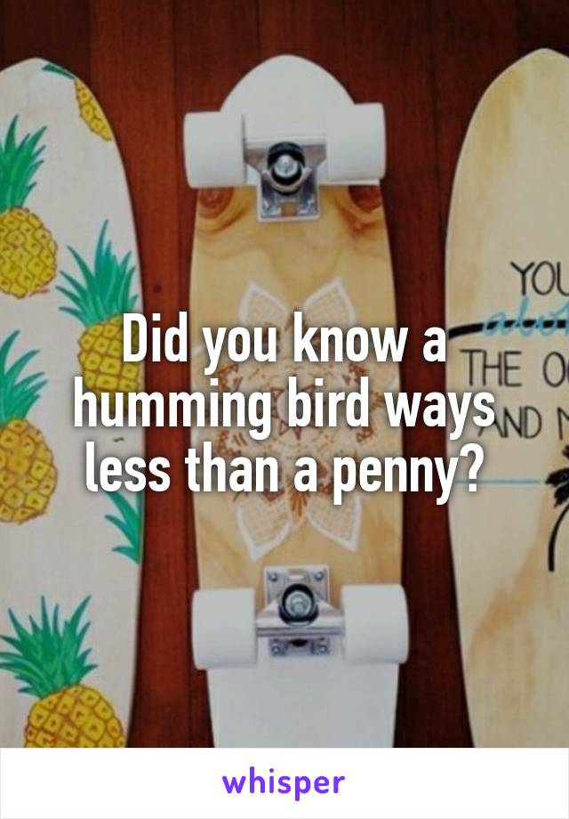 Did you know a humming bird ways less than a penny?