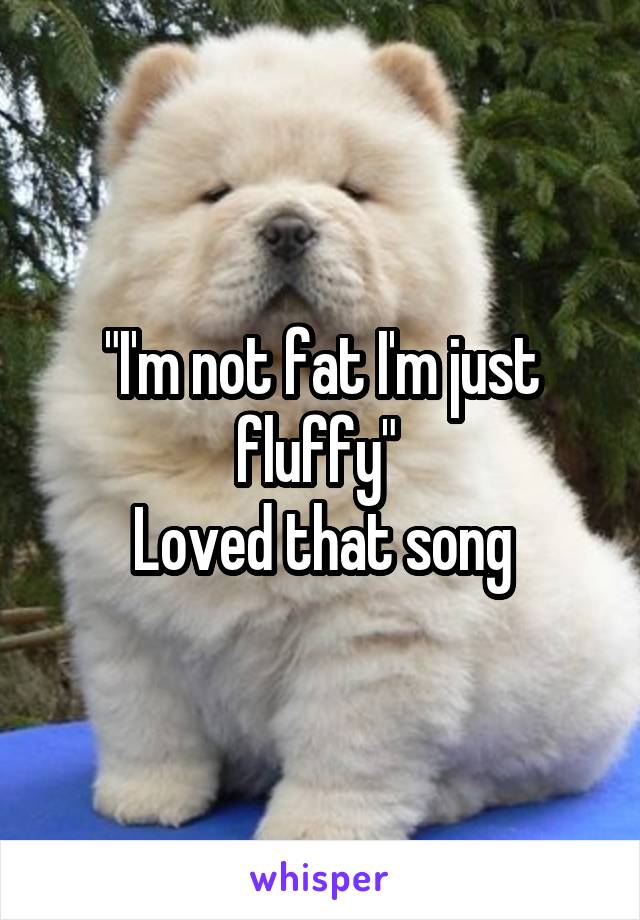 "I'm not fat I'm just fluffy" 
Loved that song