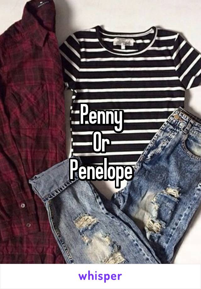 Penny
Or
Penelope