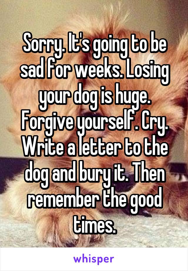 Sorry. It's going to be sad for weeks. Losing your dog is huge. Forgive yourself. Cry. Write a letter to the dog and bury it. Then remember the good times.