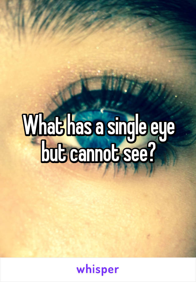What has a single eye but cannot see?