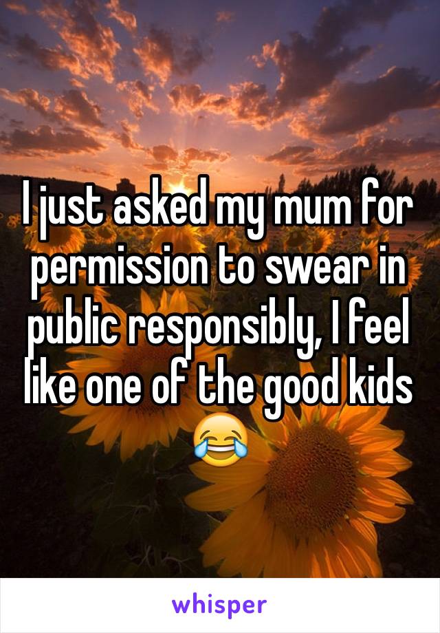 I just asked my mum for permission to swear in public responsibly, I feel like one of the good kids
😂