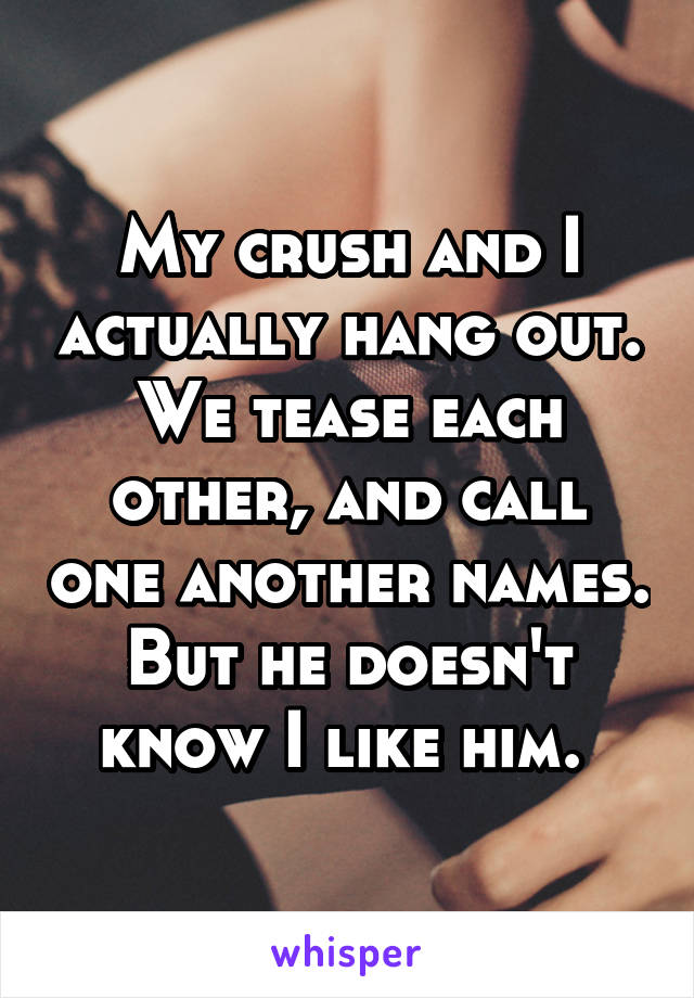 My crush and I actually hang out. We tease each other, and call one another names. But he doesn't know I like him. 