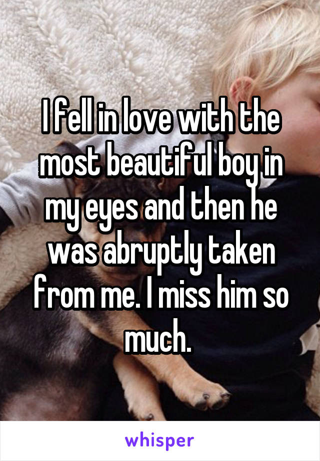 I fell in love with the most beautiful boy in my eyes and then he was abruptly taken from me. I miss him so much. 