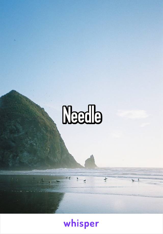 Needle