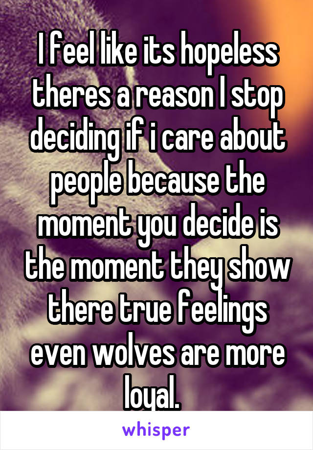 I feel like its hopeless theres a reason I stop deciding if i care about people because the moment you decide is the moment they show there true feelings even wolves are more loyal.  