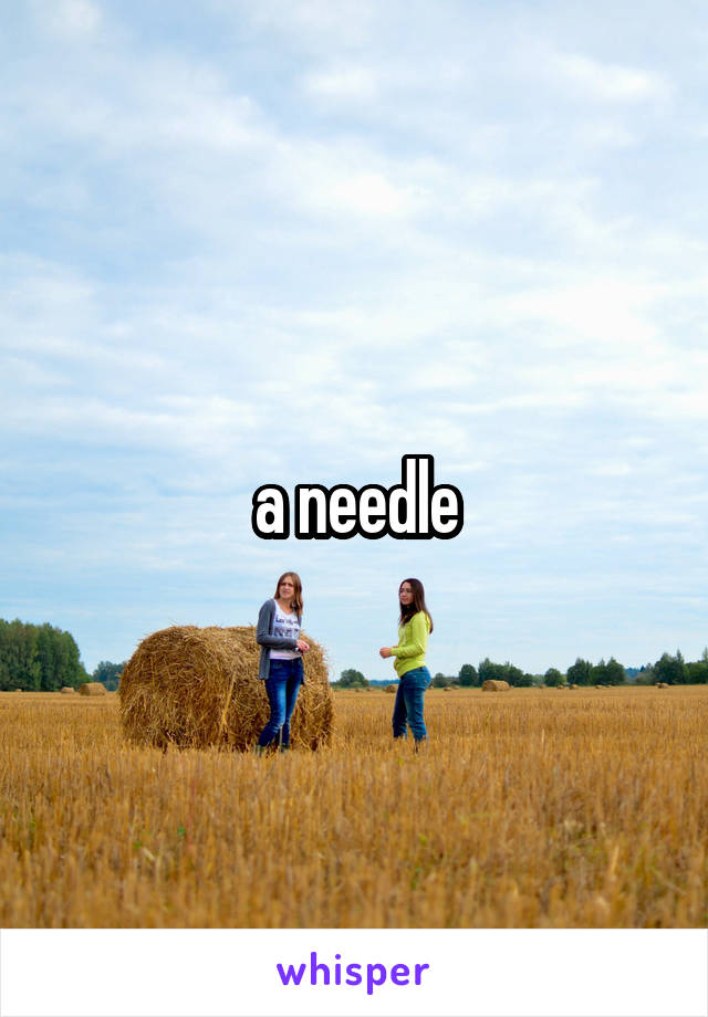 a needle