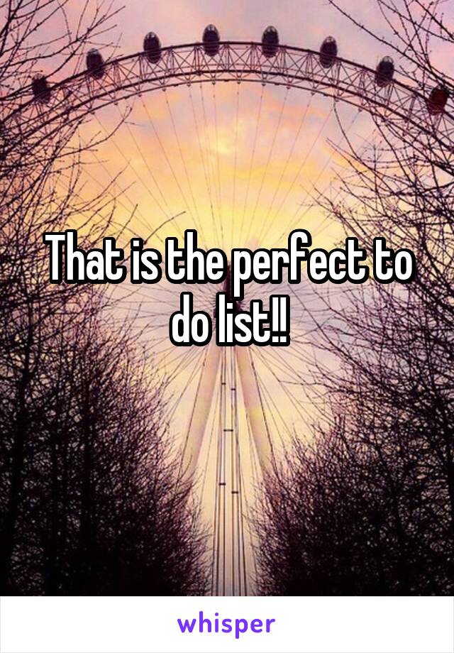 That is the perfect to do list!!
