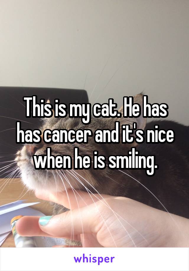 This is my cat. He has has cancer and it's nice when he is smiling.