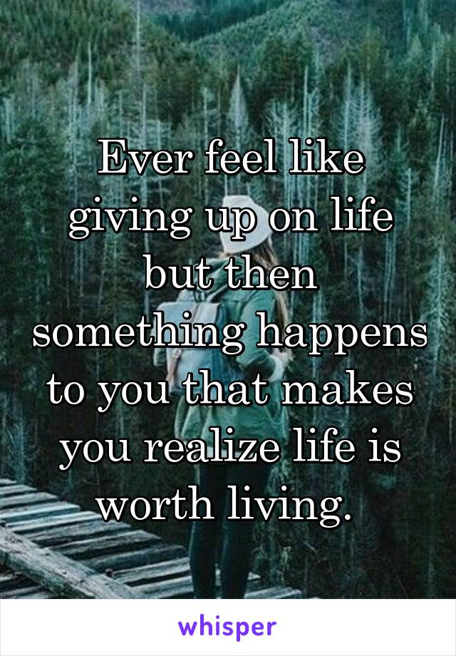 Ever feel like giving up on life but then something happens to you that makes you realize life is worth living. 