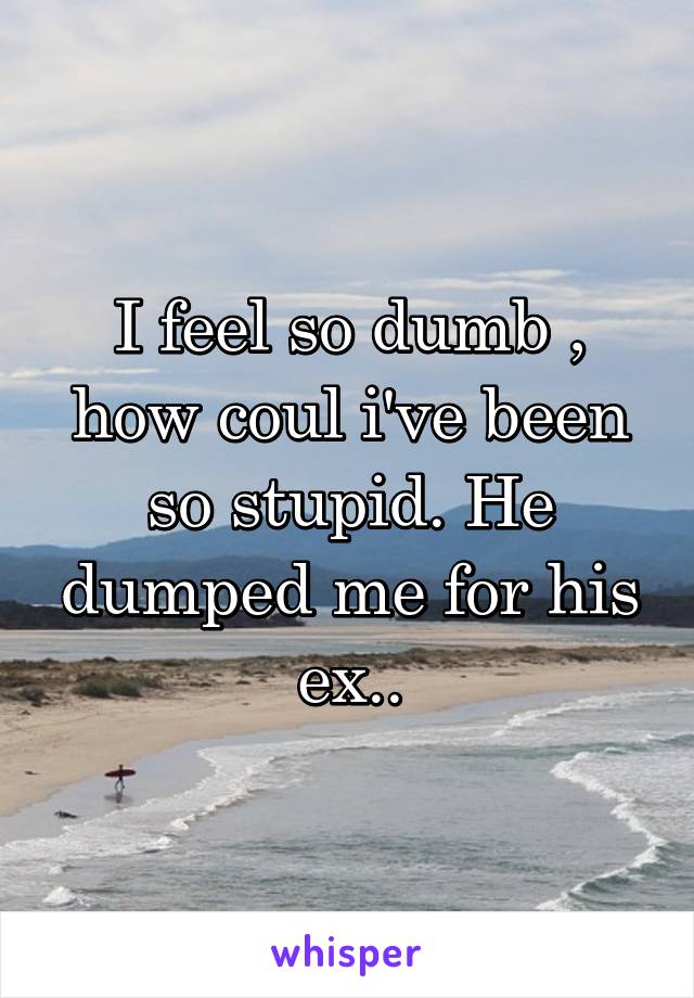 I feel so dumb , how coul i've been so stupid. He dumped me for his ex..