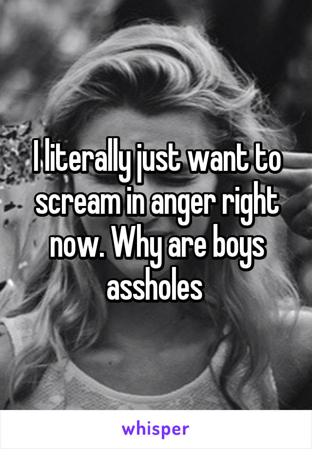 I literally just want to scream in anger right now. Why are boys assholes 