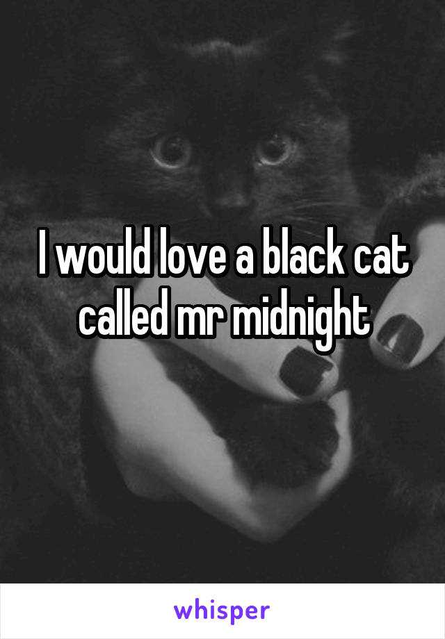 I would love a black cat called mr midnight
