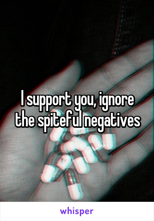 I support you, ignore the spiteful negatives