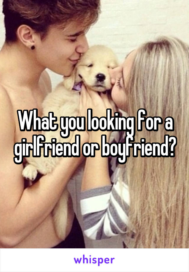 What you looking for a girlfriend or boyfriend?