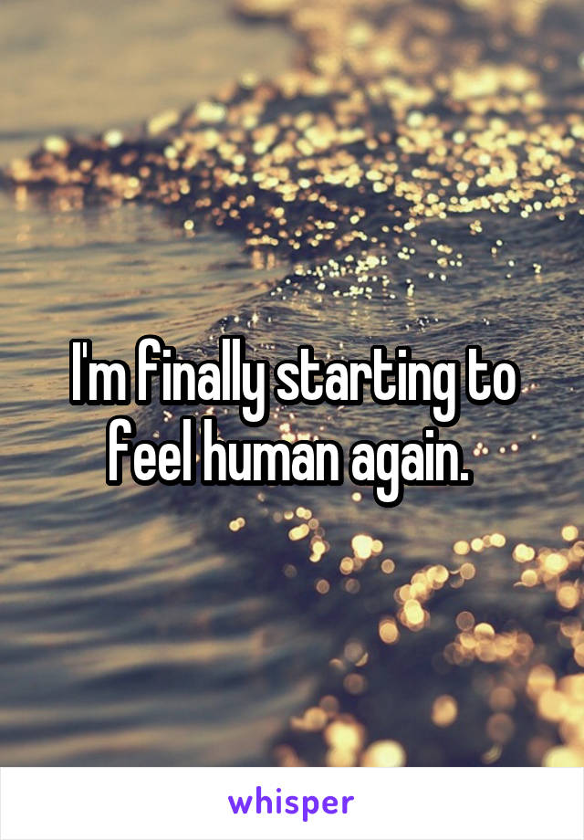 I'm finally starting to feel human again. 