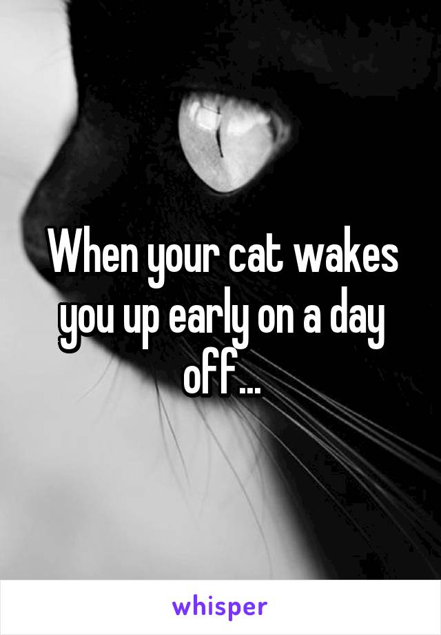 When your cat wakes you up early on a day off...