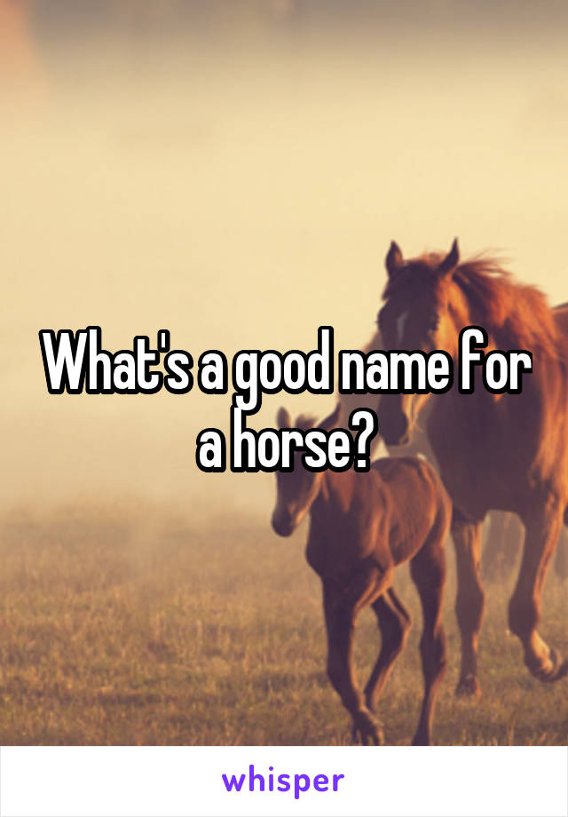 What's a good name for a horse?