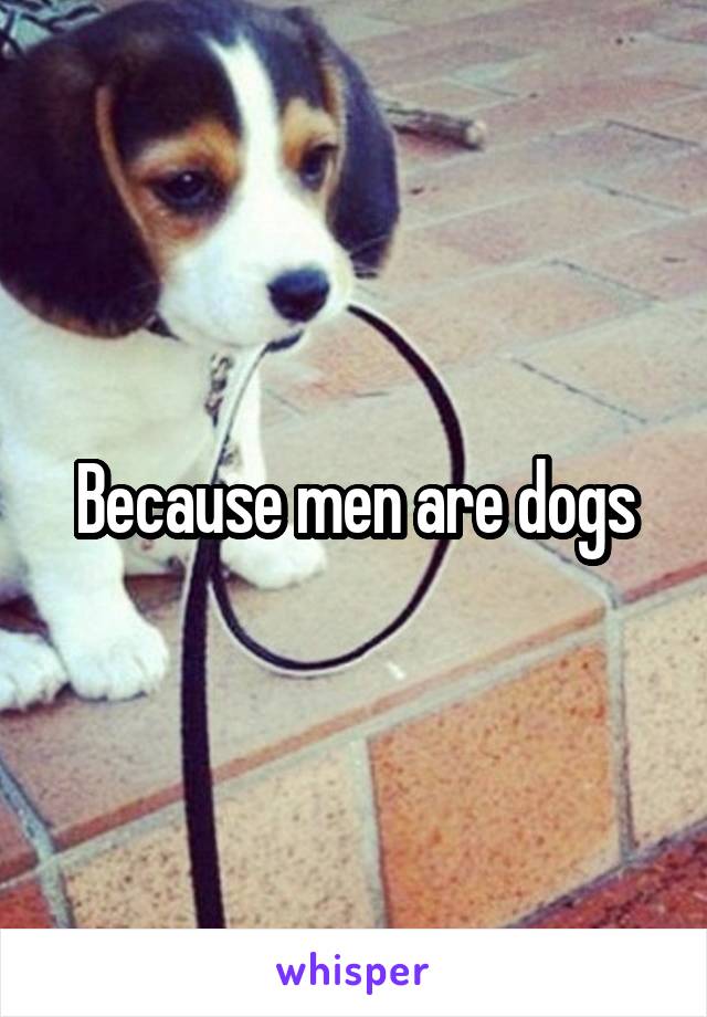 Because men are dogs