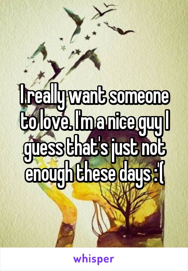 I really want someone to love. I'm a nice guy I guess that's just not enough these days :'(