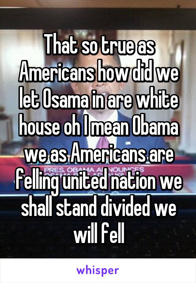 That so true as Americans how did we let Osama in are white house oh I mean Obama we as Americans are felling united nation we shall stand divided we will fell