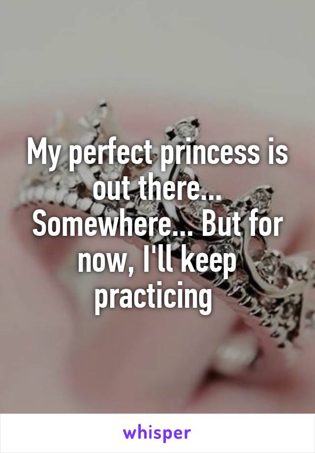 My perfect princess is out there... Somewhere... But for now, I'll keep practicing 