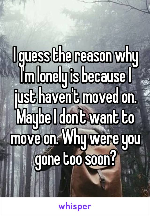 I guess the reason why I'm lonely is because I just haven't moved on. Maybe I don't want to move on. Why were you gone too soon?