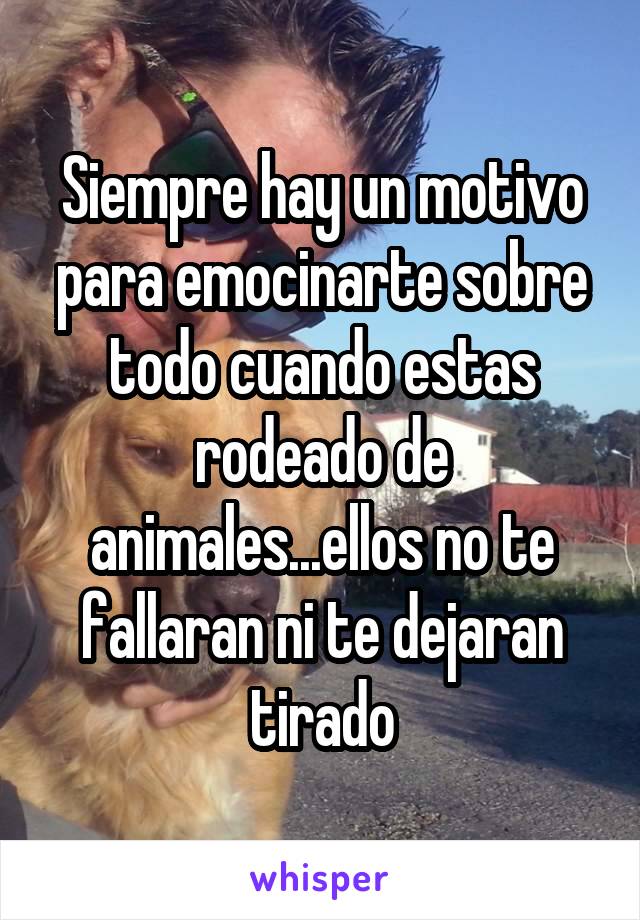 Siempre hay un motivo para emocinarte sobre todo cuando estas rodeado de animales...ellos no te fallaran ni te dejaran tirado