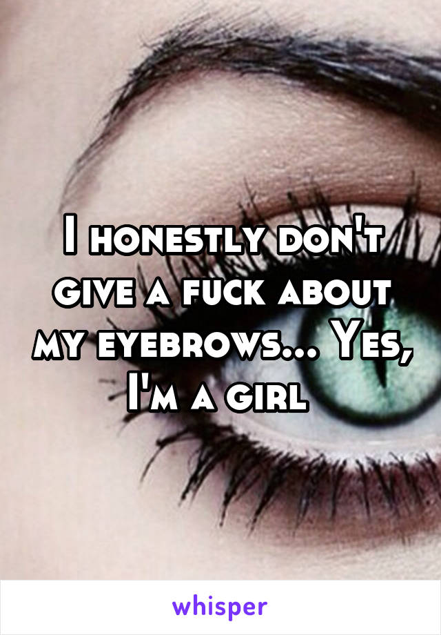 I honestly don't give a fuck about my eyebrows... Yes, I'm a girl 