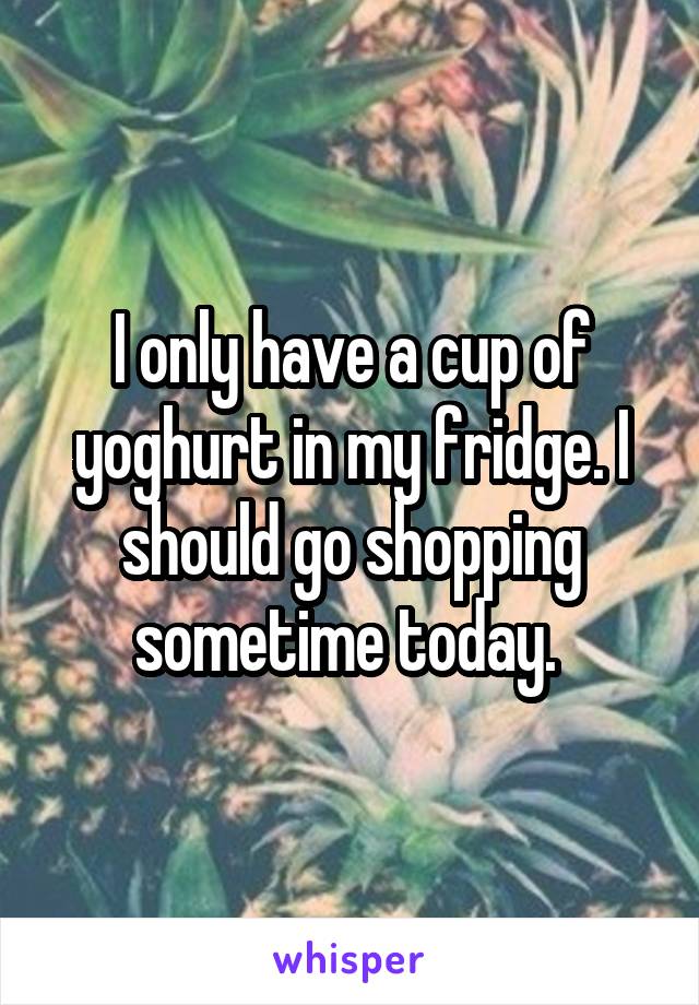 I only have a cup of yoghurt in my fridge. I should go shopping sometime today. 