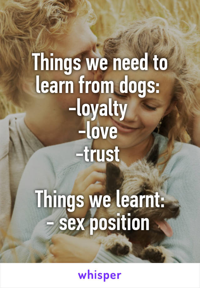 Things we need to learn from dogs: 
-loyalty 
-love 
-trust 

Things we learnt:
- sex position 