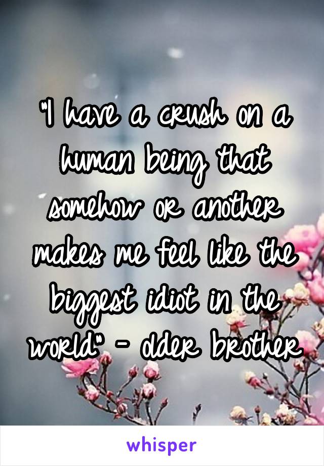 "I have a crush on a human being that somehow or another makes me feel like the biggest idiot in the world" - older brother