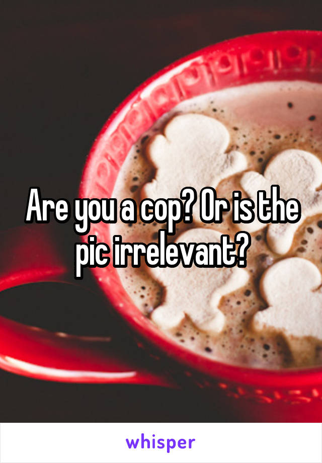 Are you a cop? Or is the pic irrelevant?