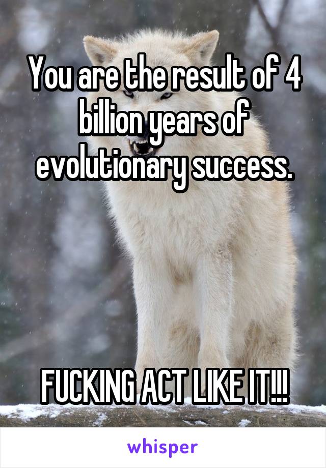 You are the result of 4 billion years of evolutionary success.




FUCKING ACT LIKE IT!!!